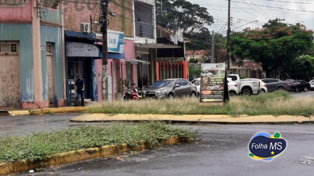 Mato alto e sujeira toma conta de terrenos, pontos de ônibus e revolta população em Corumbá 3 Mato alto