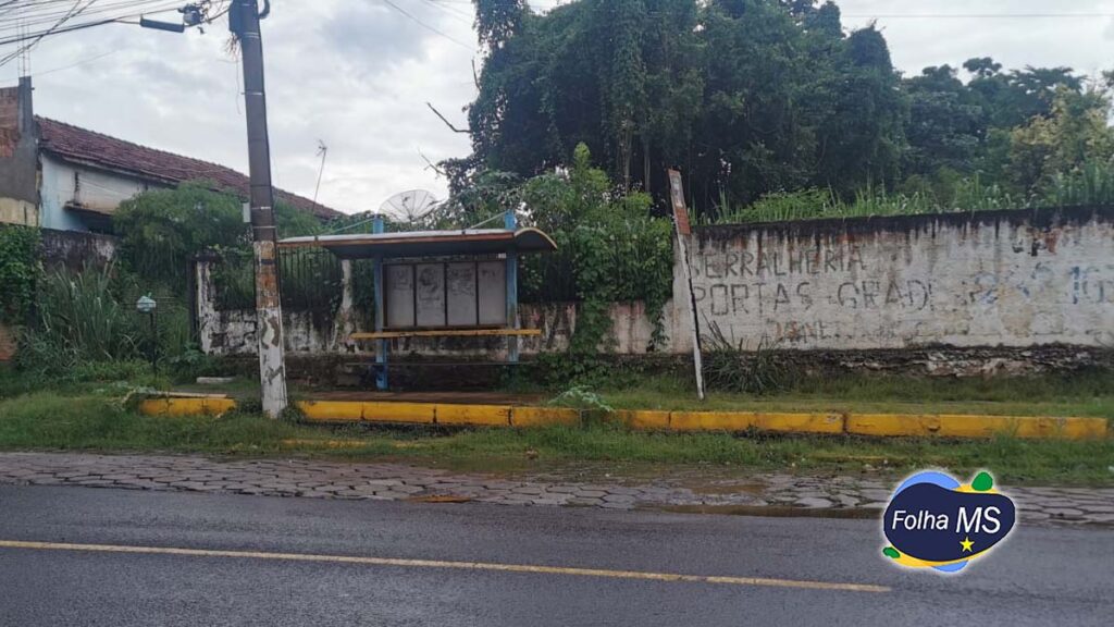 Mato alto e sujeira toma conta de terrenos, pontos de ônibus e revolta população em Corumbá 4 Mato alto2