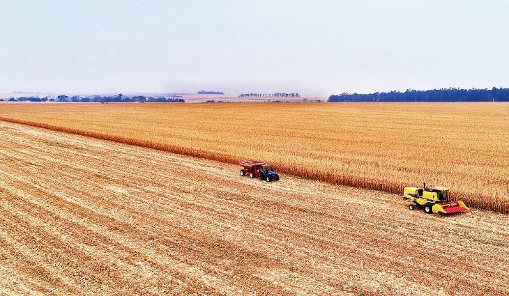Mato Grosso do Sul foi o terceiro estado do Brasil que mais gerou vagas no agronegócio