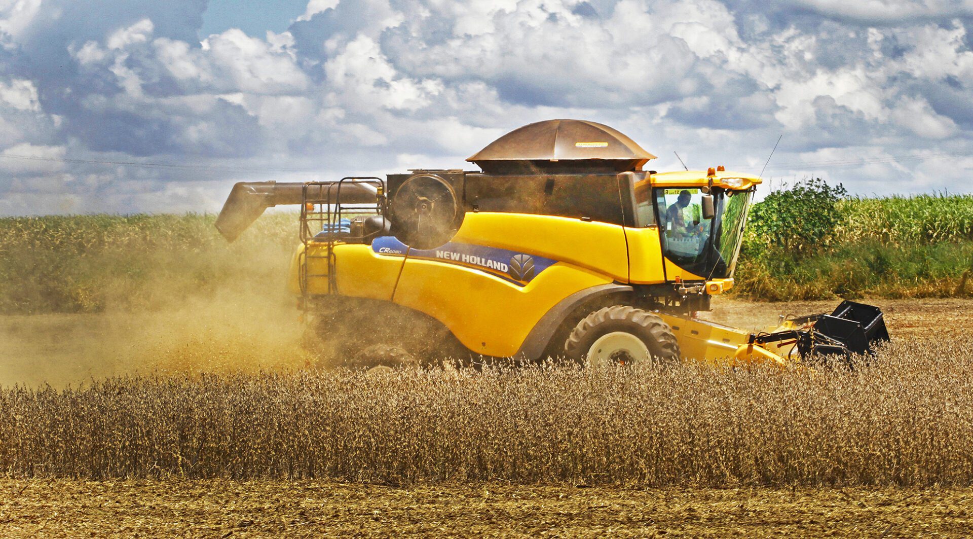 Empregos formais no agronegócio