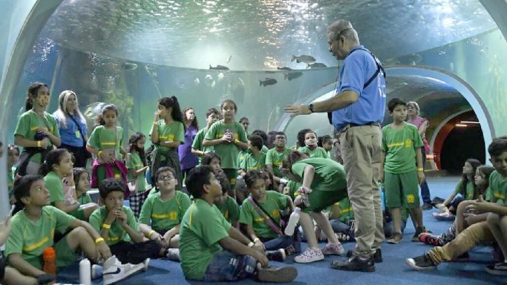 bioparque escola Bioparque Pantanal