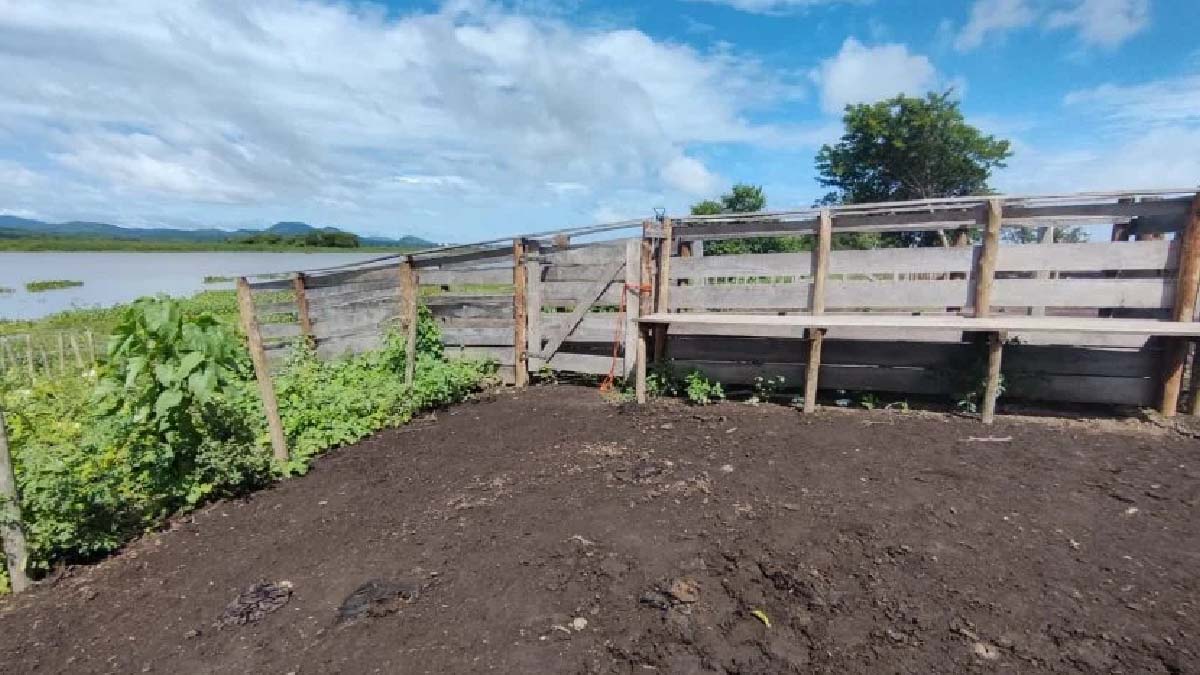 Você está visualizando atualmente Fazendeiro desmata área para embarque de gado e acaba multado pela PMA de Corumbá