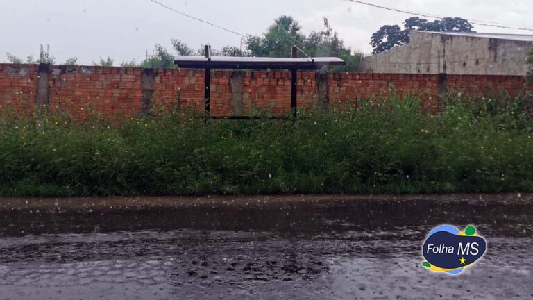 Mato alto e sujeira toma conta de terrenos, pontos de ônibus e revolta população em Corumbá
