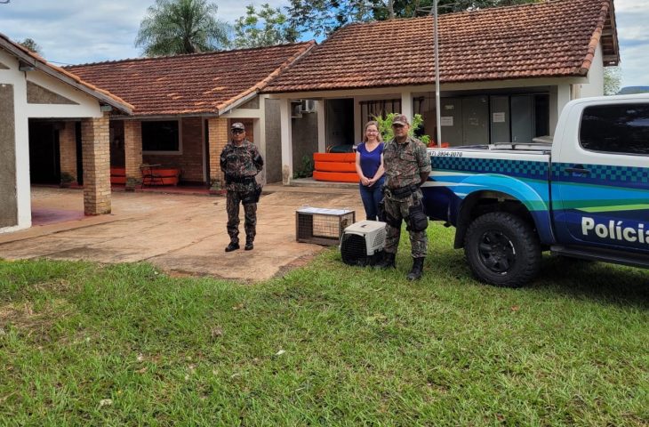 PMA de Aquidauana faz parceria para assegurar melhor atendimento a animais resgatados