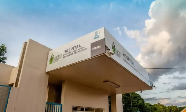 Dengue hemorrágica pode ter causado a morte de menina de 3 anos em Campo Grande