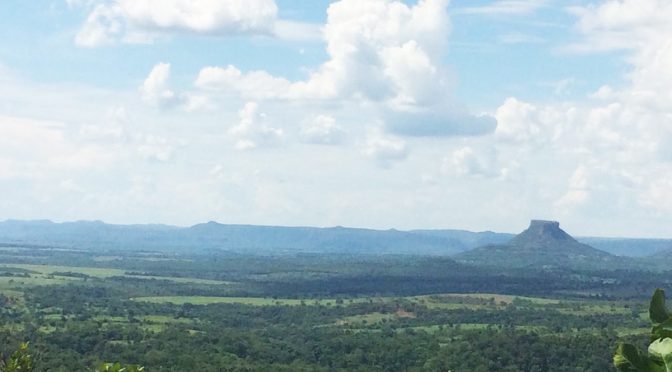 Dia Mundial da Água: Maior projeto de recuperação ambiental do Brasil é iniciado nas cabeceiras do rio Taquari