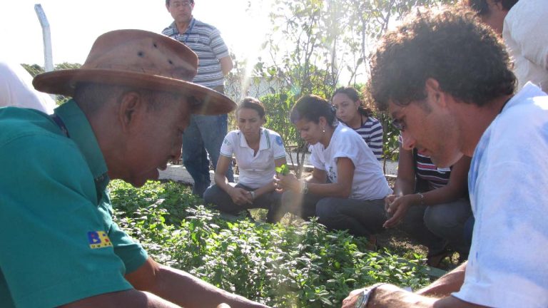 Agricultura familiar de MS terá mais R$ 4 milhões no Programa de Aquisição de Alimentos