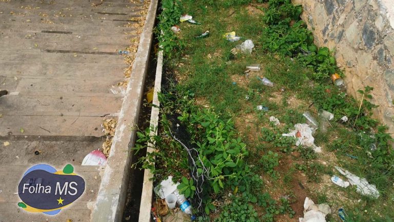 Abandonada e cheia de lixo escadinha da XV se transforma em criadouro do mosquito da dengue