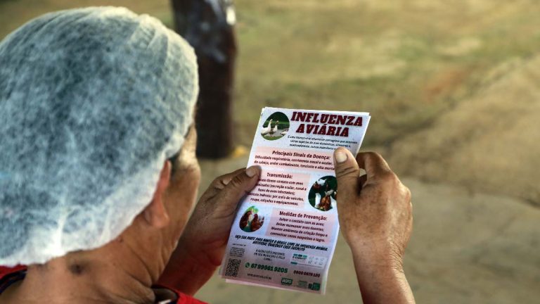 MS entra em alerta zoossanitário por causa da influenza aviária
