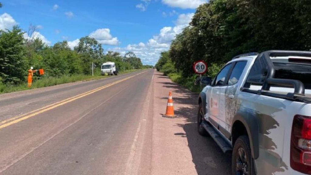 Programa Estrada Viva: Parceria entre PMA e IHP busca preservar a fauna na BR-262 2 ihp 1 estrada viva