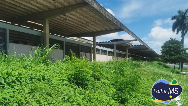 Ação popular pede bloqueio de R$ 3,6 bi da Rumo Malha Oeste por deterioração de ferrovia em MS
