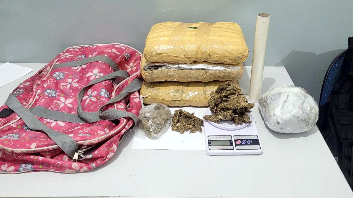 Leia mais sobre o artigo Força Tática prende mulher com tabletes de maconha dentro de mochila em Corumbá