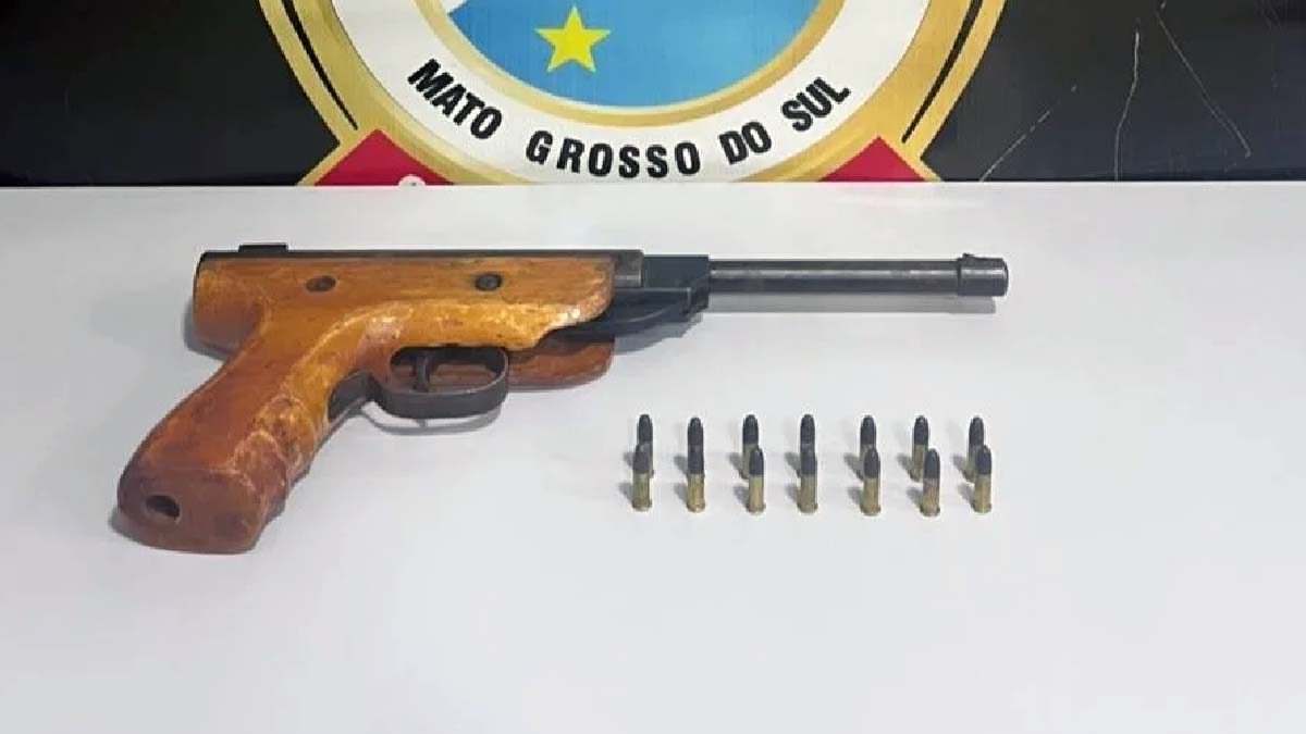 motorista escolar arma motorista de ônibus escolar