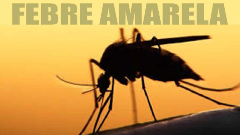 Febre-amarela