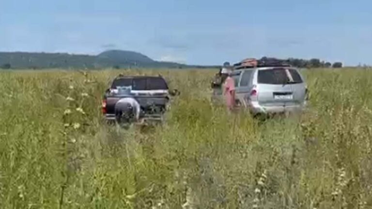Vereadora solicita reabertura de estrada tomada pelo mato em Forte Coimbra