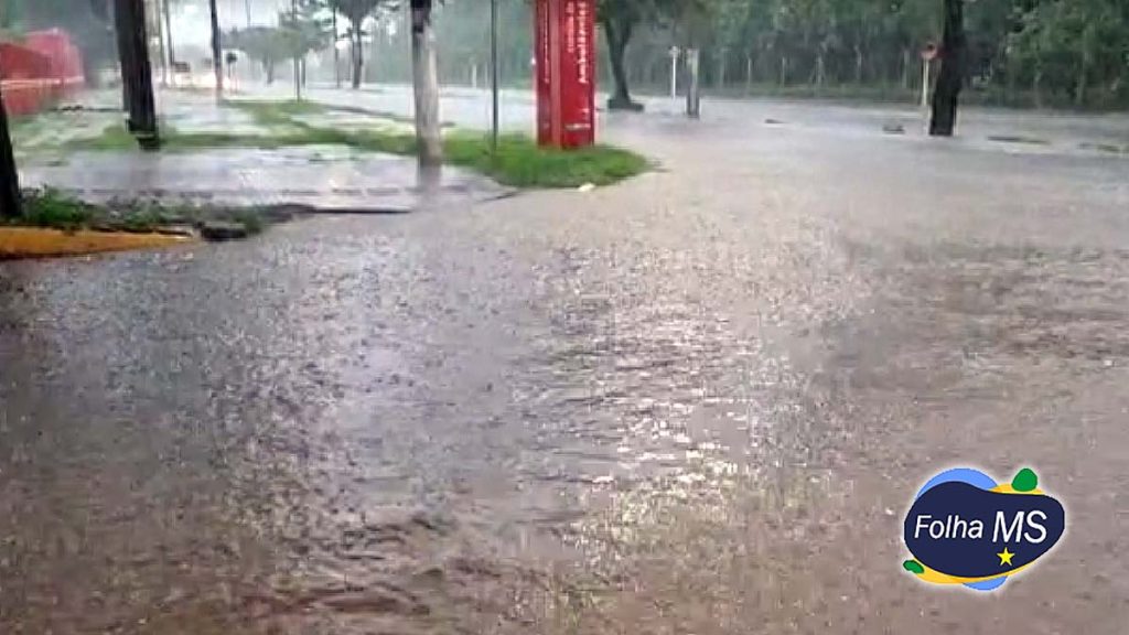 chuva chuva no Cravo Vermelho