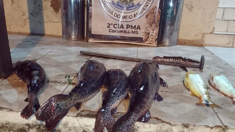 PMA monitora pontos de decoada no rio Paraguai para prevenir pesca predatória