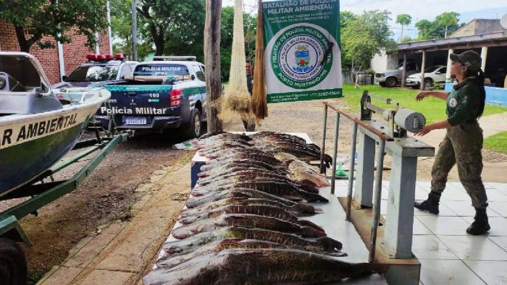 fiscalizacao PMA Piracema