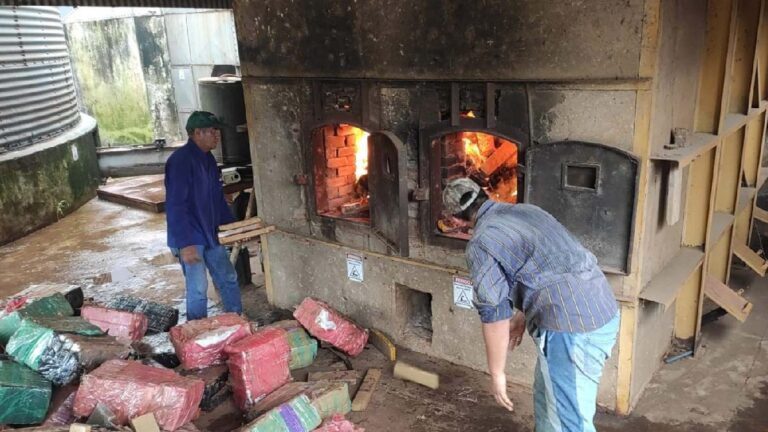 Polícia Civil destrói mais de 4,5 toneladas de drogas em Bonito