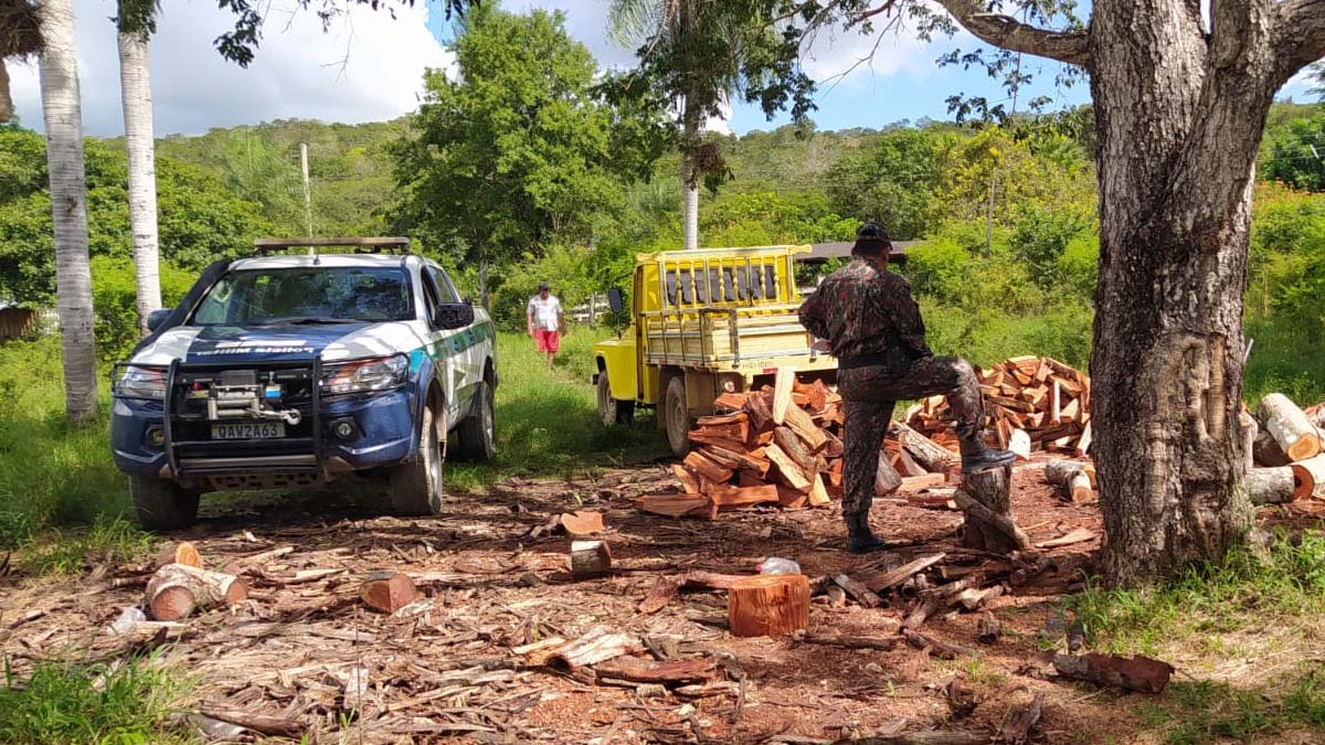Você está visualizando atualmente PMA flagra exploração ilegal de madeira em área de proteção ambiental em Corumbá