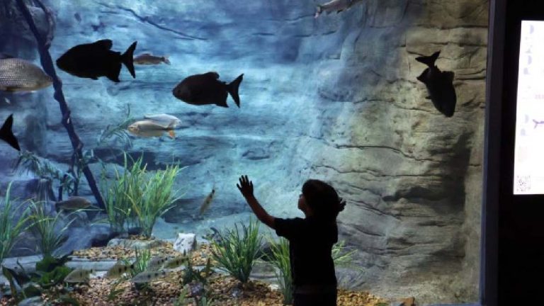 Bioparque Pantanal recebe visitantes com agendamento no feriado de Tiradentes