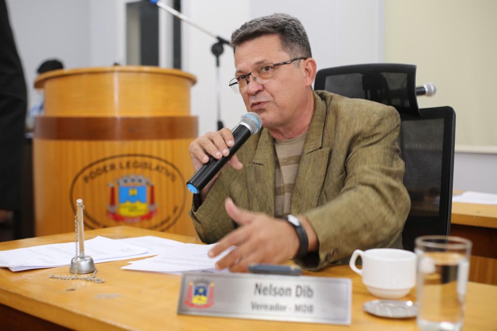 Nelson Dib