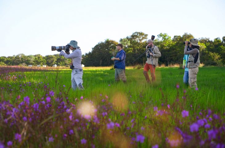 Festival de observação de aves, avistar brasil, em Mato Grosso do Sul