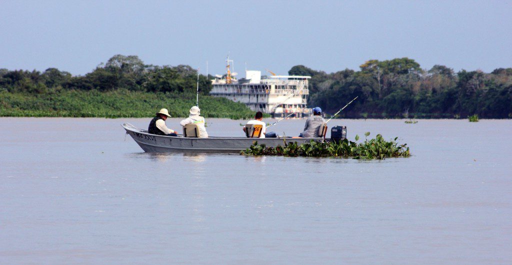 pesca