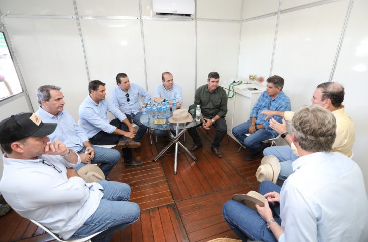 Governo discute decreto de emergência por gripe aviária com autoridades sanitárias e líderes rurais