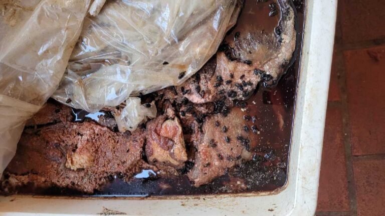 Polícia Civil apreende 30 toneladas de alimentos impróprios e prende comerciante em Ponta Porã