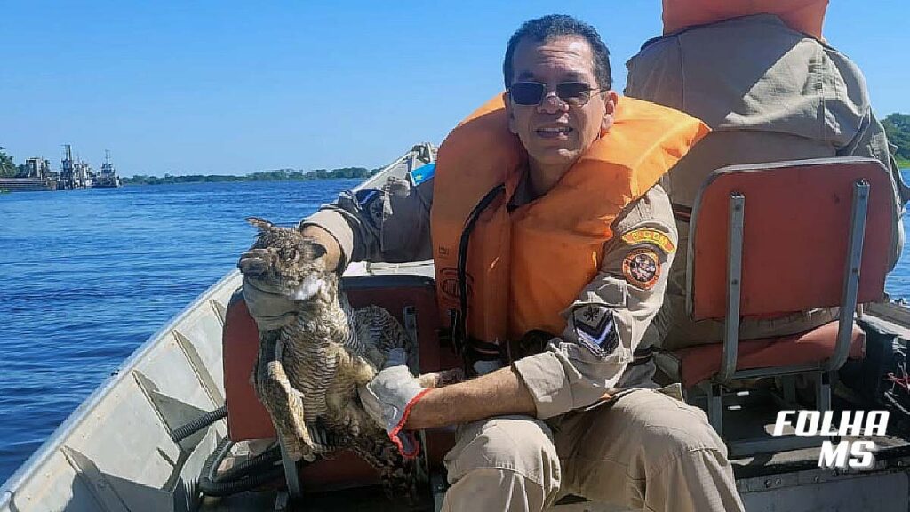 Coruja presa em linha de pesca é resgatada pelos Bombeiros em Ladário 2 coruja2