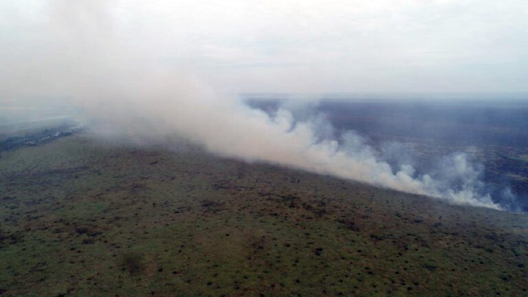 Incêndio florestal no Pantanal mobiliza bombeiros e militares pelo 2º dia em Forte Coimbra