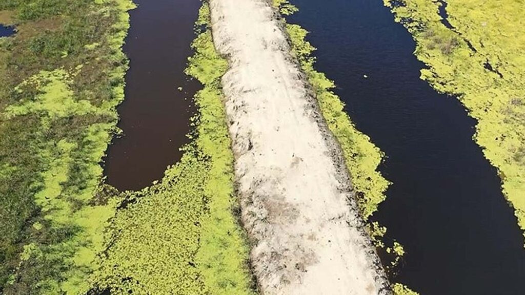 TCE investiga irregularidades em obras de estrada no Pantanal de MS 2 obra pantanal2