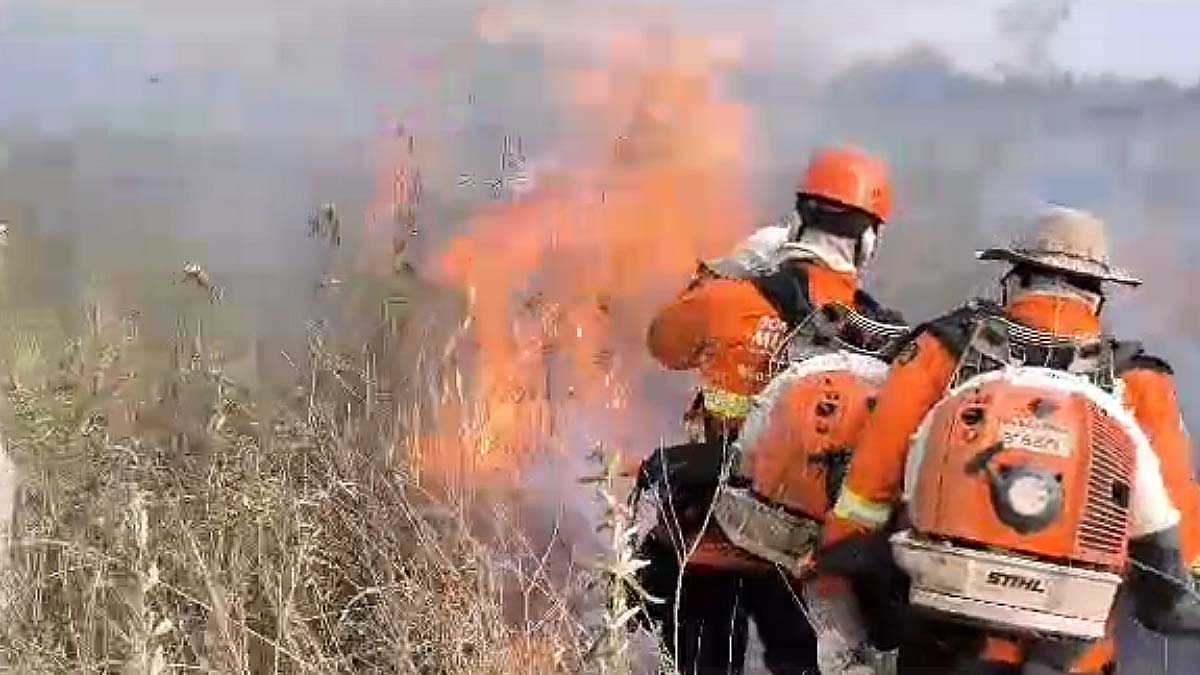 Leia mais sobre o artigo Atuação dos bombeiros é destaque no combate a incêndios florestais