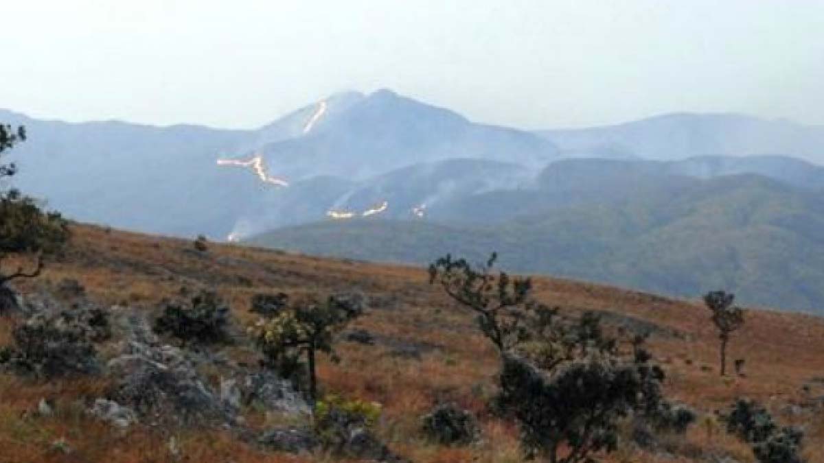 queimadas serra amolar