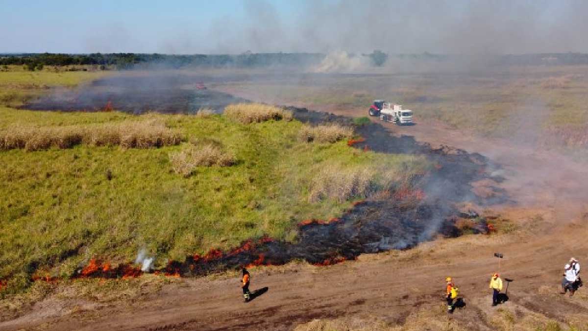Leia mais sobre o artigo Apoiado pelo Fundect, projeto em MS busca alternativa para evitar incêndios no Pantanal