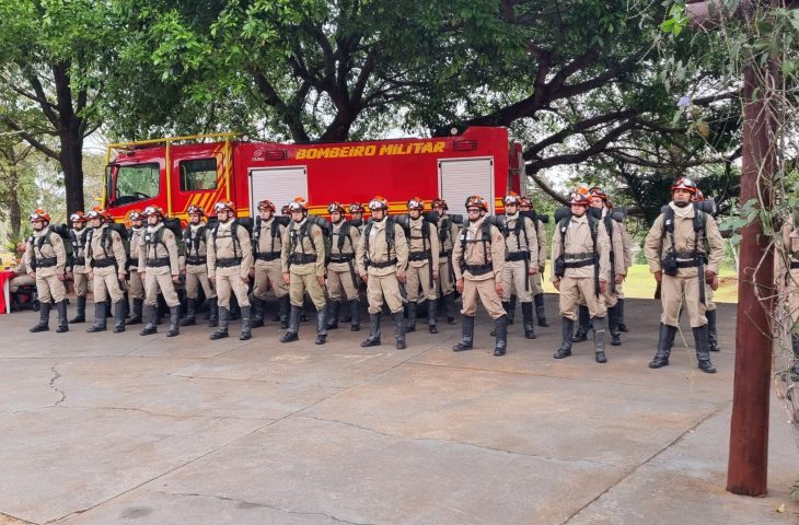 Curso prepara bombeiros para enfrentar incêndios florestais em MS