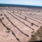 Satélite mostra que desmatamento ilegal se mantém no Pantanal de MS