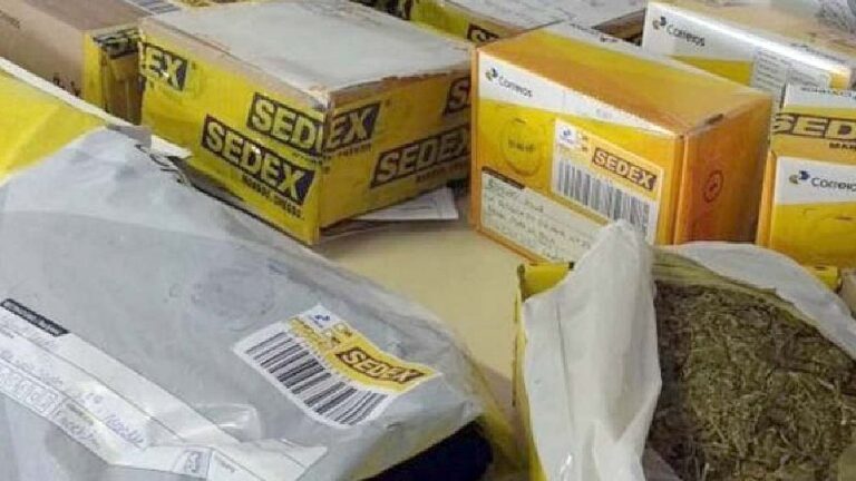 Operação da PF em MS mira quadrilha que usa Correios para envio de drogas