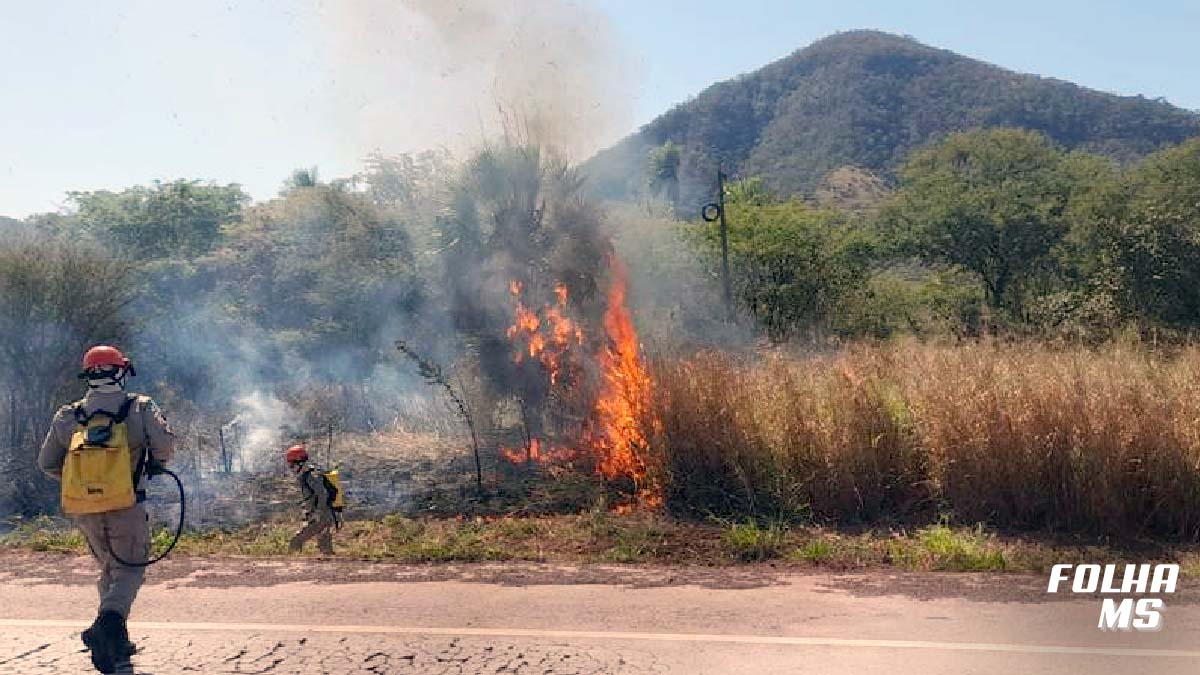 Na quinta-feira (3), um incêndio florestal atingiu uma área de 20 hectares na BR-262, entre Baía do Jacadigo e Iagro