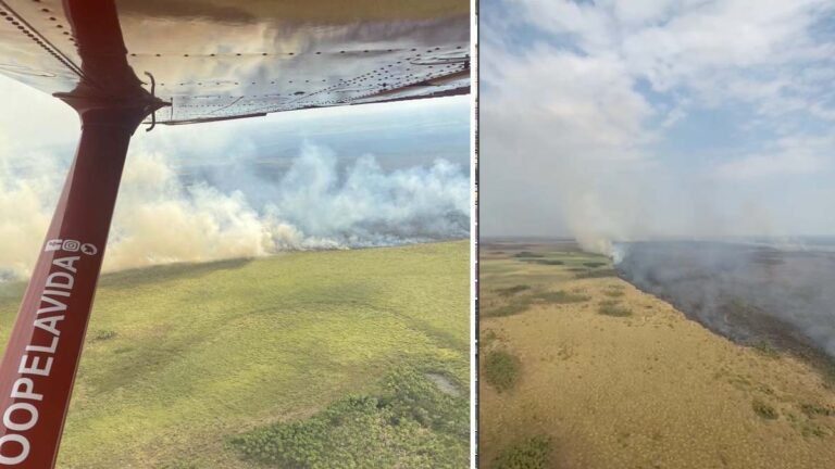 Incêndio florestal na região do Nabileque mobiliza equipes do Corpo de Bombeiros