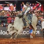 Peão sul-mato-grossense conquista rodeio internacional em Barretos