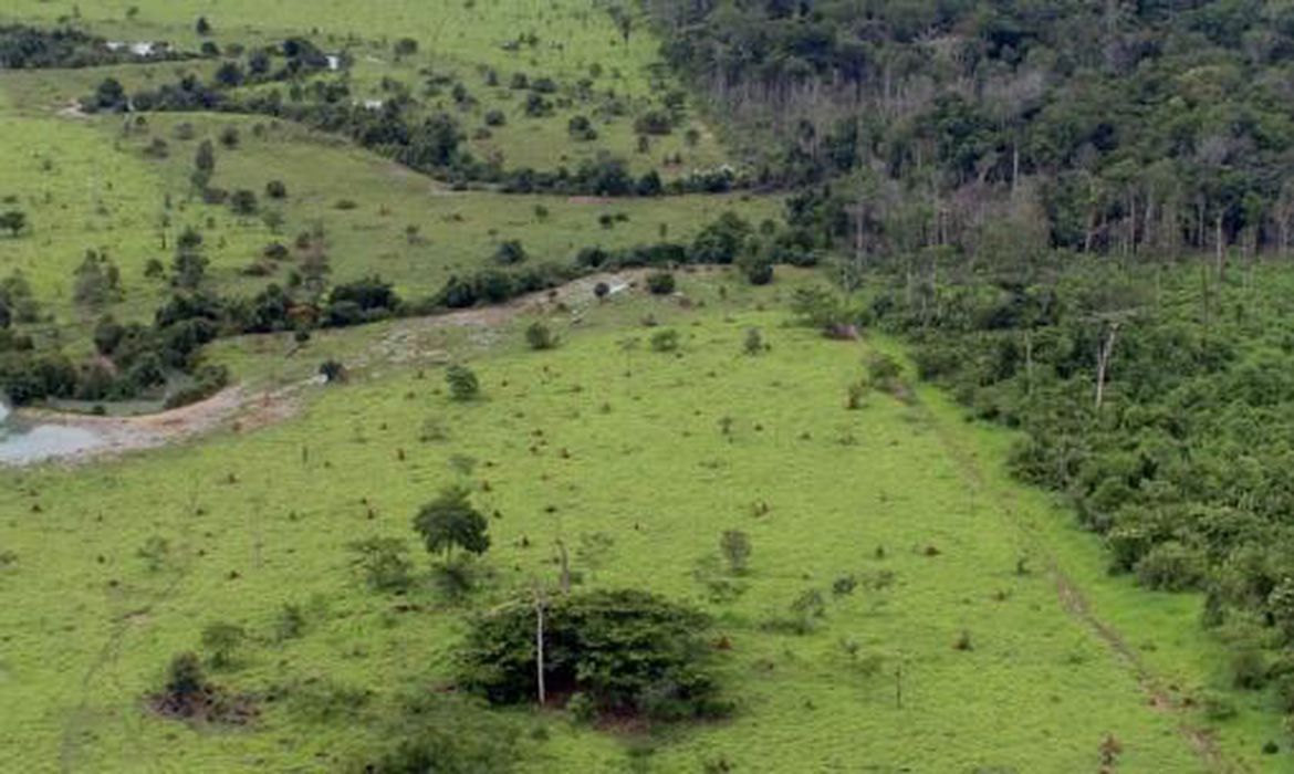 projeto rural na amazonia pnud