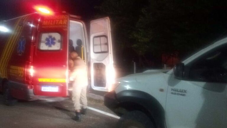 Bombeiros socorrem homem que sofreu queda de cavalo em fazenda na Nhecolância
