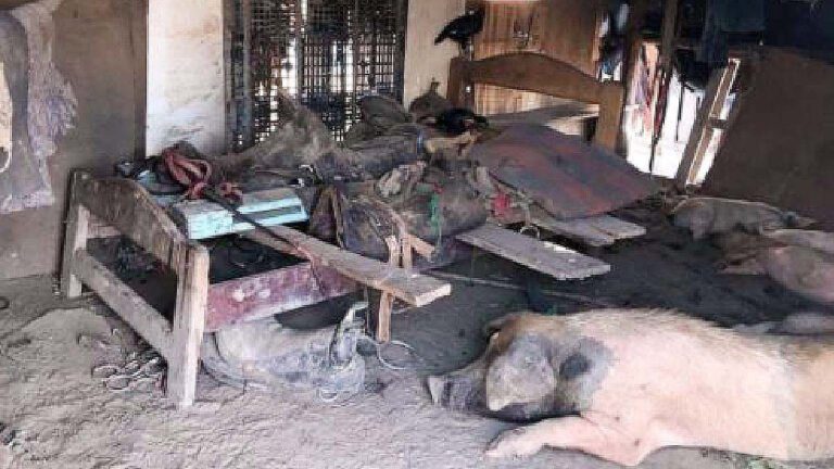 Casal é obrigado a morar em chiqueiro e fazendeiro é condenado por trabalho escravo