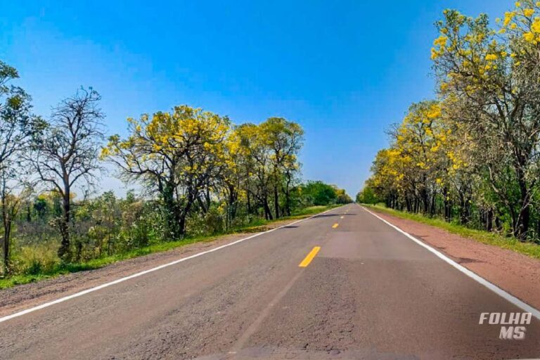 DNIT abre licitação de R$ 11,6 milhões para projetar duplicação da BR-262 entre Terenos e Anastácio