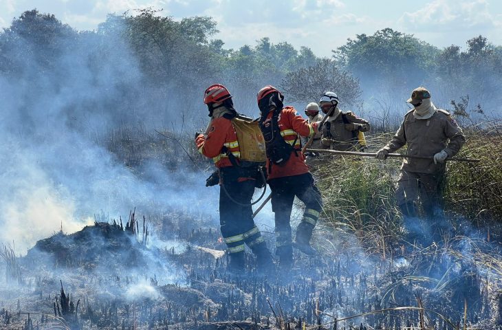 Bombeiros controlam incêndio florestal em Bonito