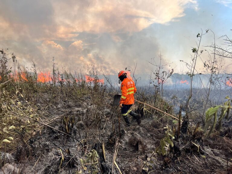 Bombeiros de MS atuam em três incêndios florestais no Pantanal