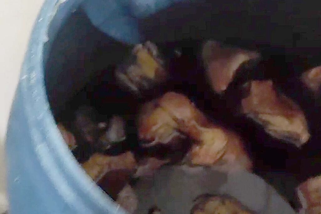 Açougue é fechado e dono é preso por vender carne imprópria em Campo Grande 2 açougue fechado em Campo Grande