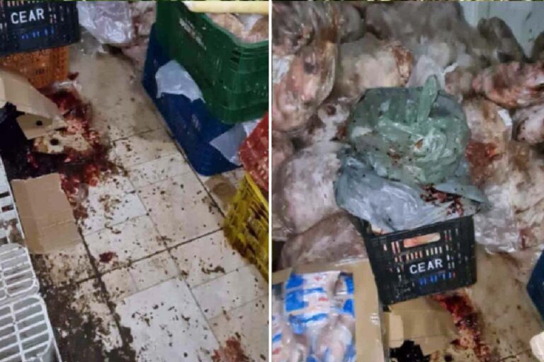 Mercado é interditado por vender carne podre em Campo Grande